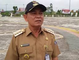 Pantau Karhutla, Besok, Panglima TNI, Kapolri dan Menteri KLH Kunjungi Pelalawan